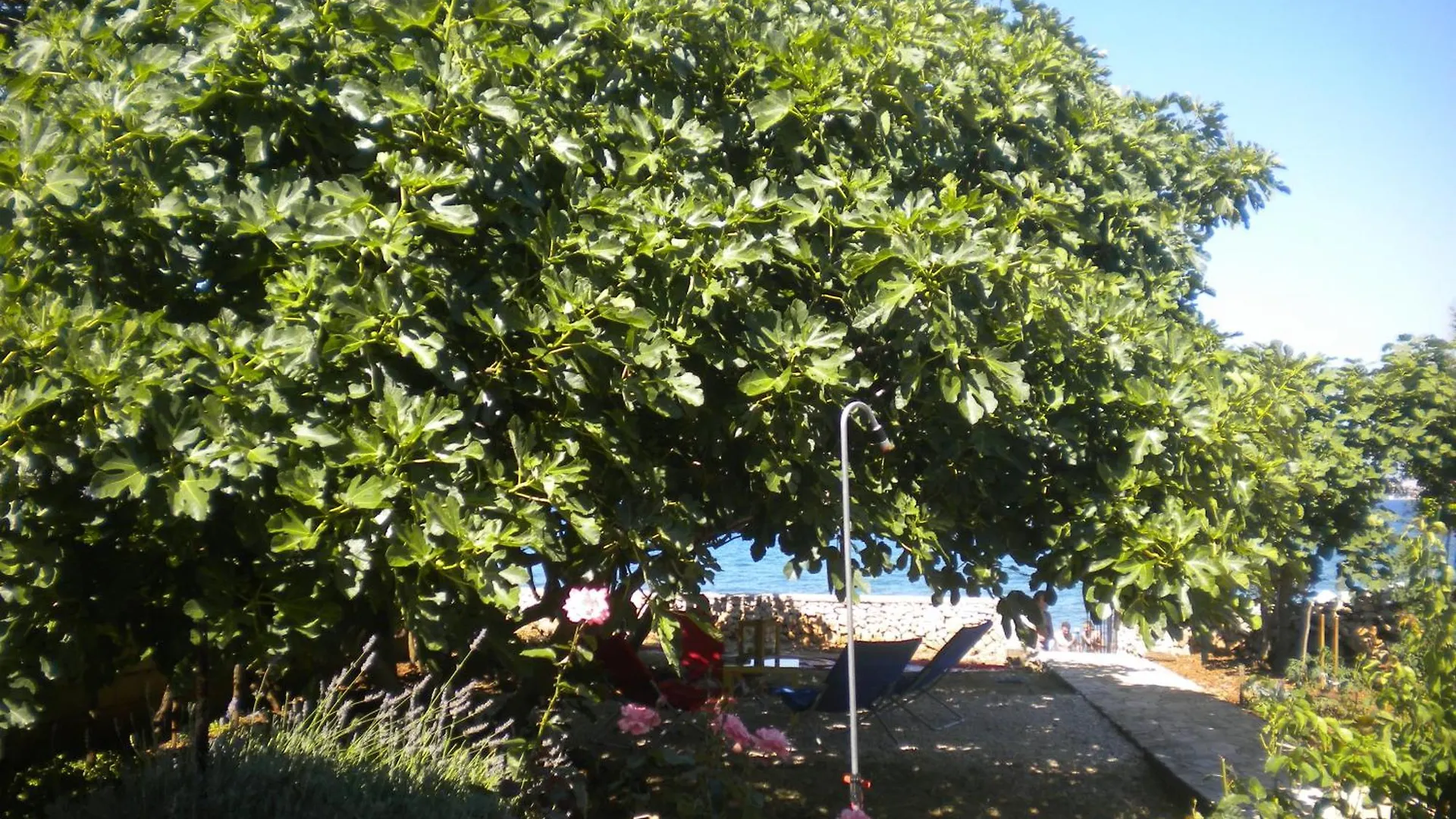 Casa Luma Apartment Poljana  Croatia